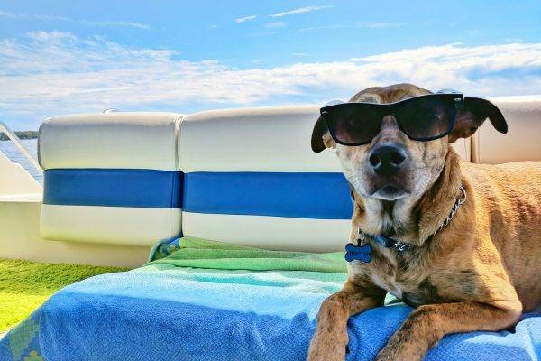 Alles wat je moet weten over je vakantiegeld