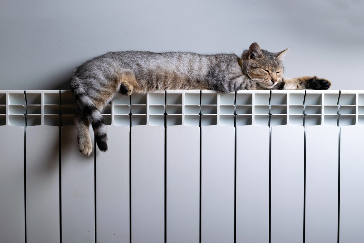Sociale energietarieven stijgen vanaf 1 oktober