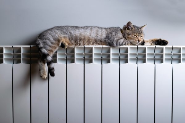 Sociale energietarieven stijgen vanaf 1 oktober